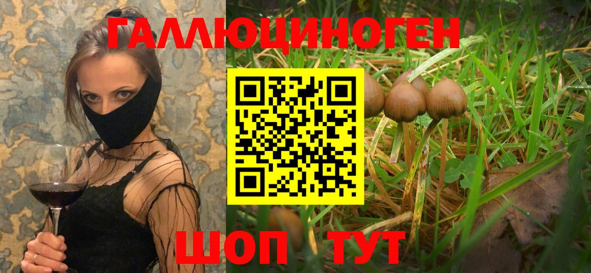 Псилоцибиновые грибы мухоморы Десногорск