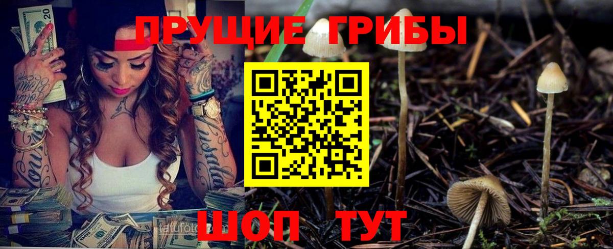Псилоцибиновые грибы прущие грибы  дарнет шоп  Десногорск  Галлюциногенные грибы ЛСД  Вход с VPN 